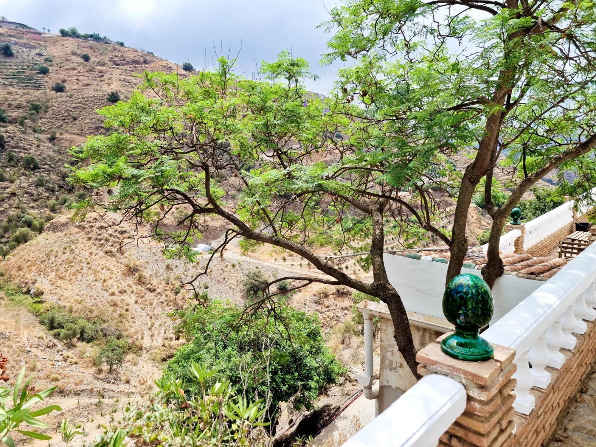 Apartmán La Buena Vida. Màlaga Exteriér fotografie